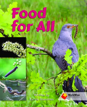 Flying Start to Literacy: WorldWise - Food for All