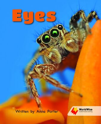 Flying Start to Literacy: WorldWise - Eyes