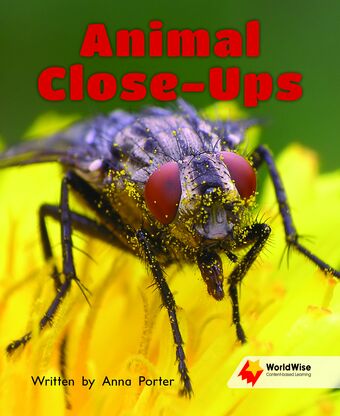 Flying Start to Literacy: WorldWise - Animal Close-Ups