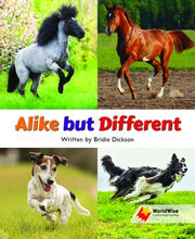 Flying Start to Literacy: WorldWise - Alike but Different