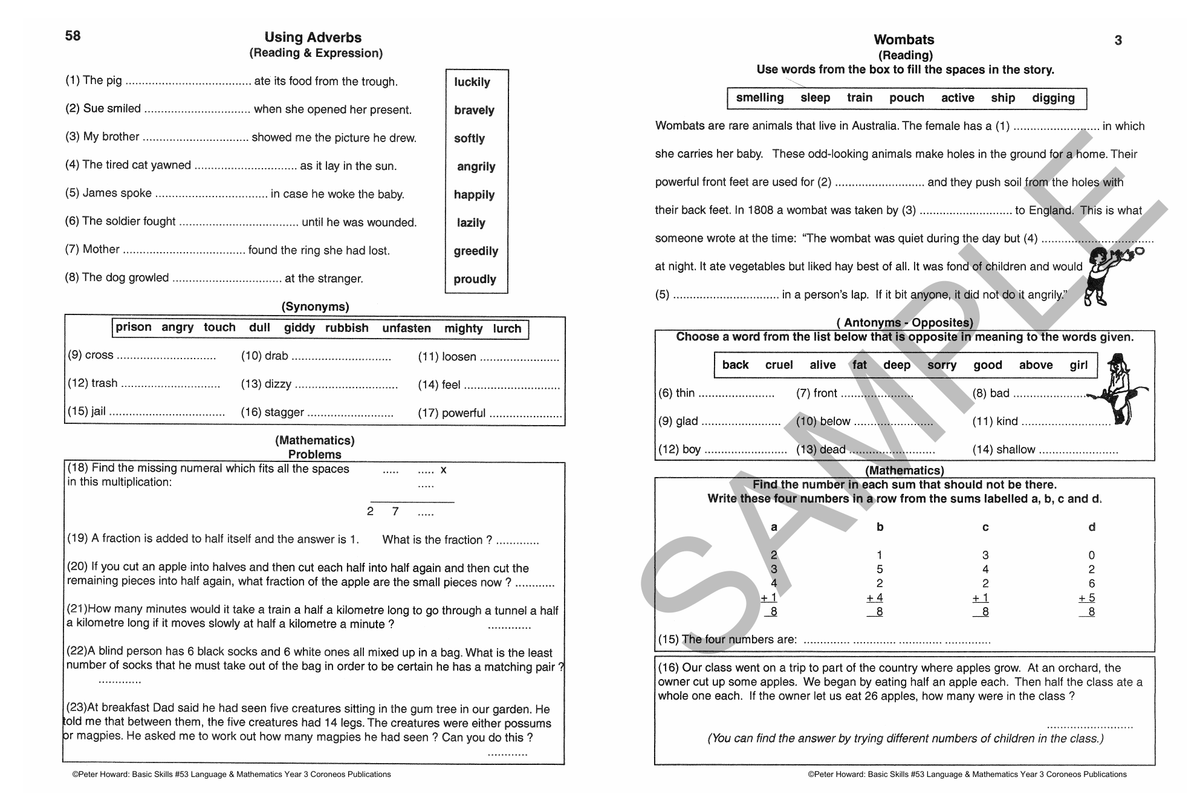 Basic Skills - Language & Mathematics Year 3 sample page