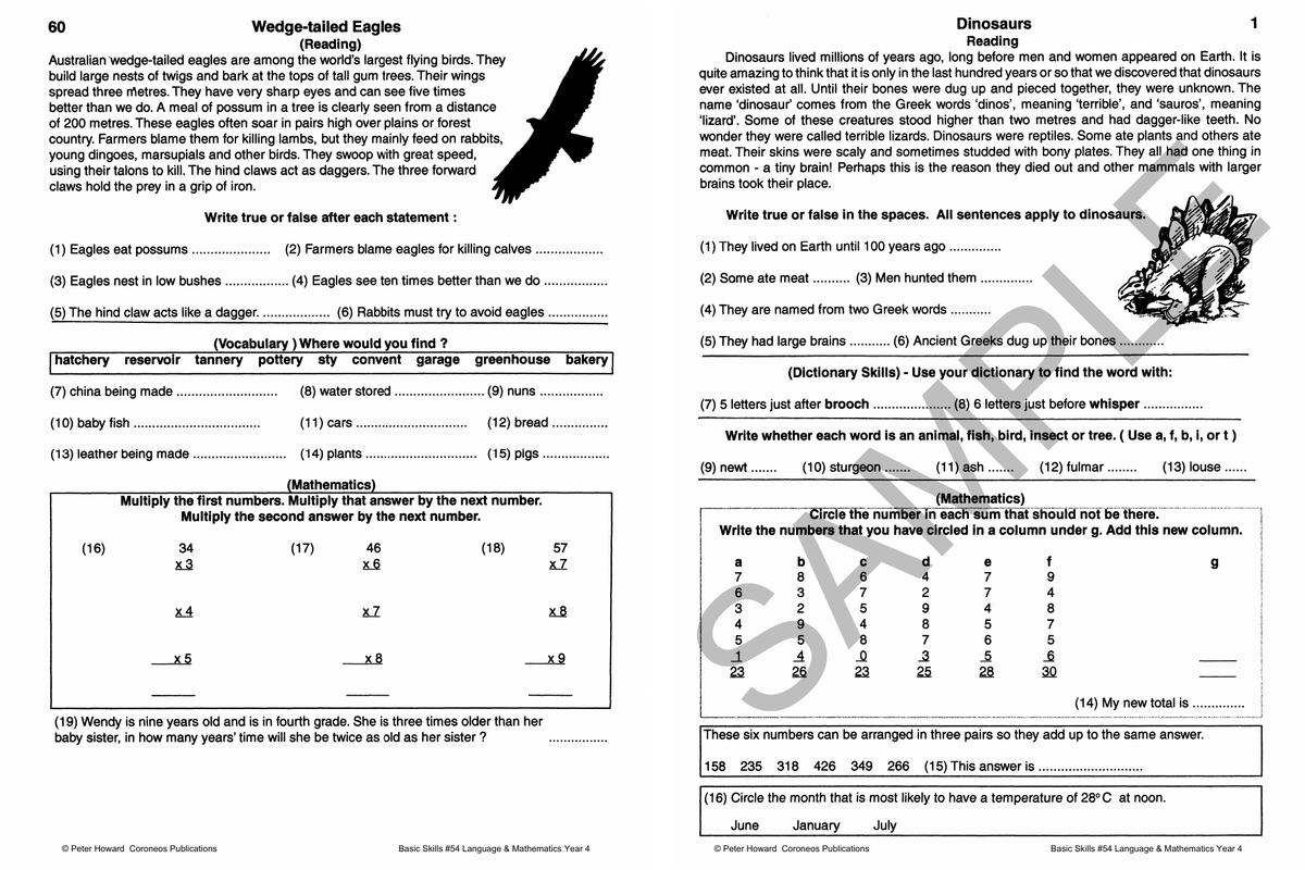 Basic Skills - Language & Mathematics Year 4 sample page