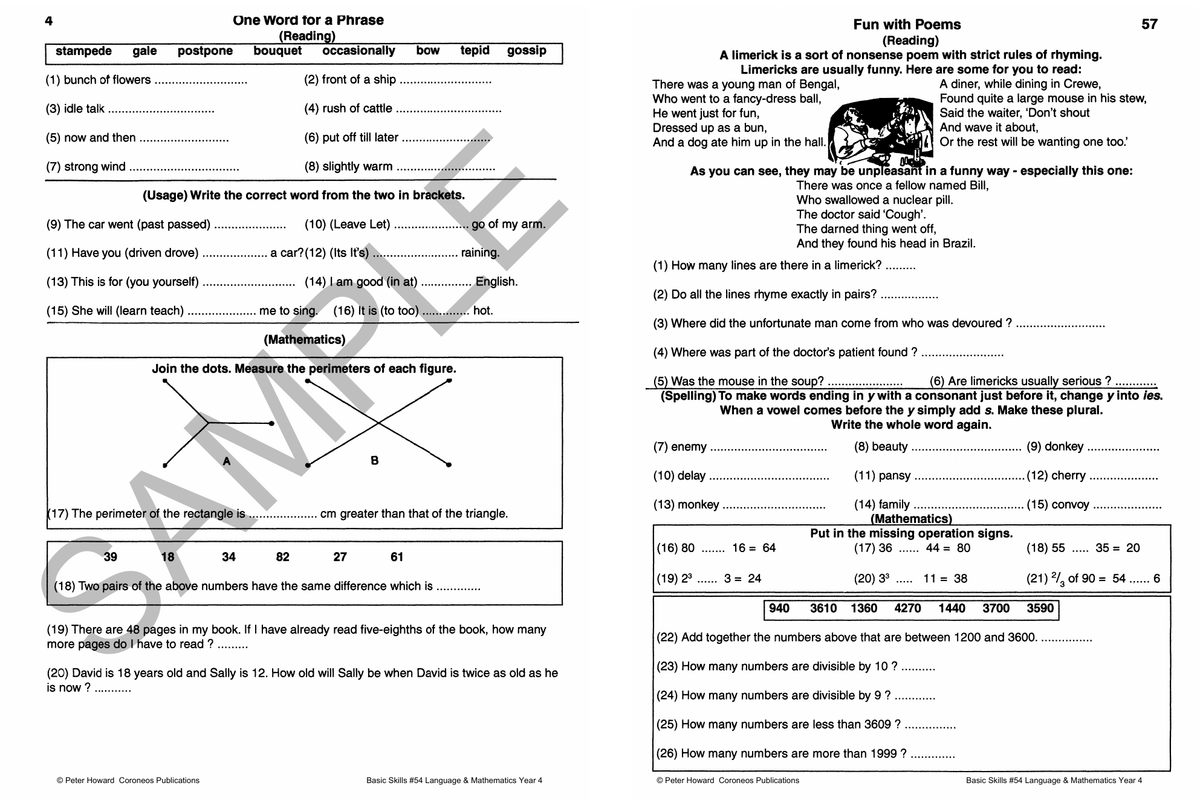 Basic Skills - Language & Mathematics Year 4 sample page