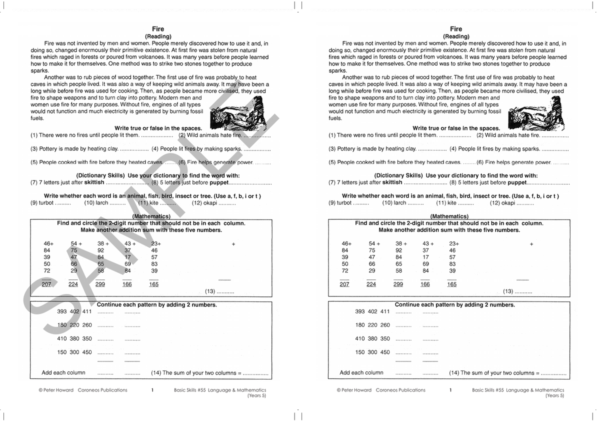 Basic Skills - Language & Mathematics Year 5 sample page