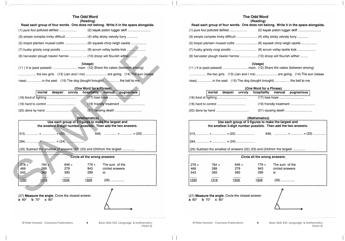 Basic Skills - Language & Mathematics Year 5 sample page