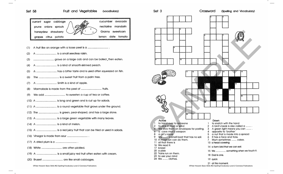 Spelling / Vocabulary Level 2 Yrs 3 - 4 (Basic Skills No. 62) sample page