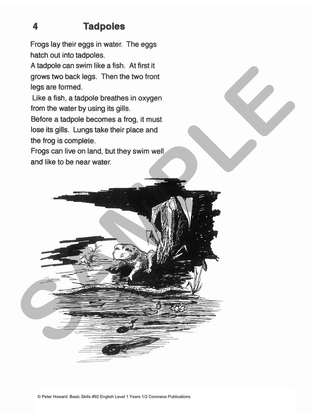 English Level 1 Yrs 1 - 2 sample page
