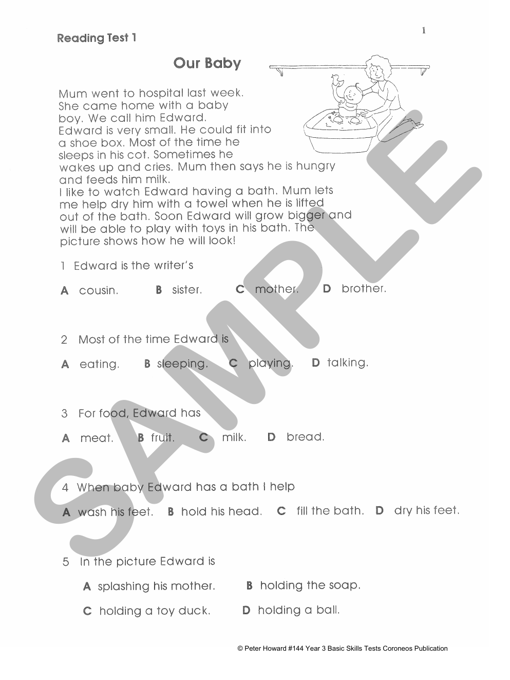 Year 3 Basic Skills Tests - Suitable preparation for NAPLAN* Tests sample page