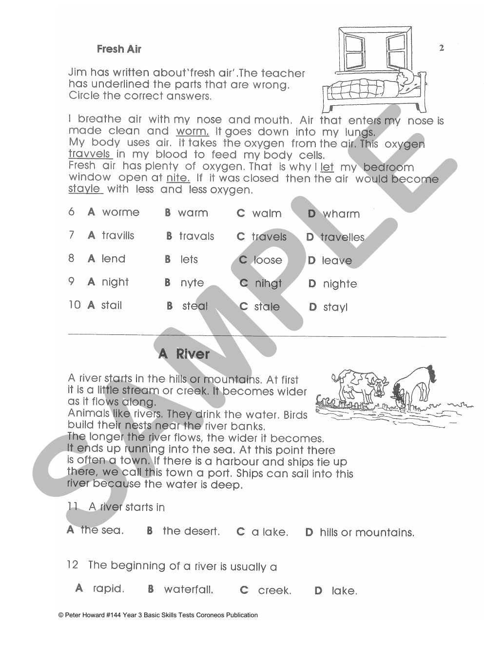 Year 3 Basic Skills Tests - Suitable preparation for NAPLAN* Tests sample page