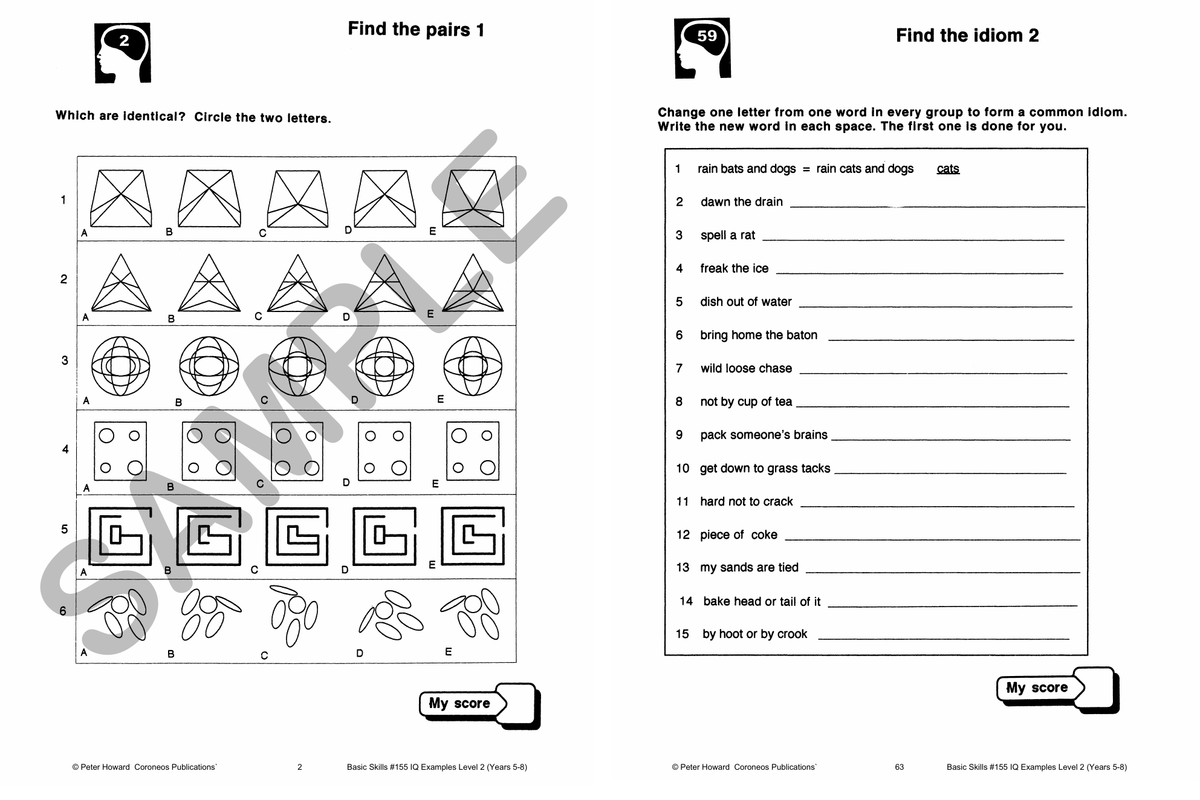 IQ Examples Level 2 Yrs 5 to 8 sample page