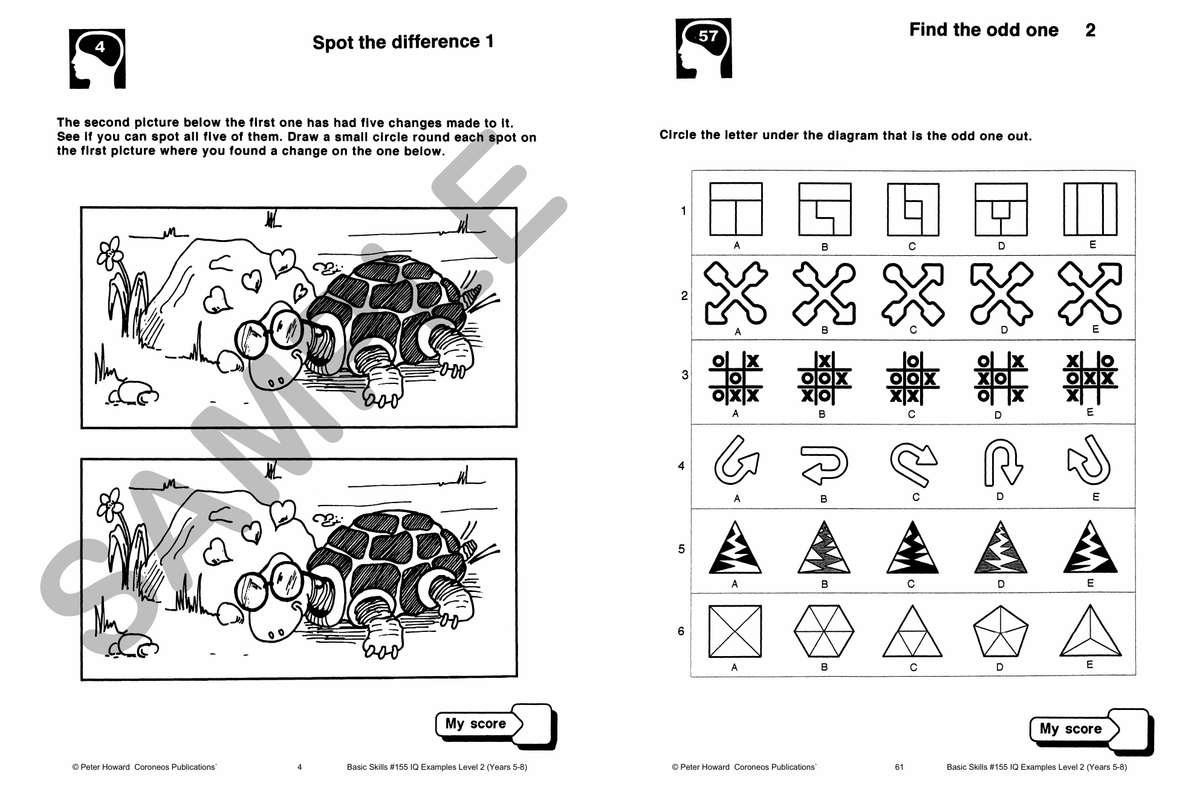 IQ Examples Level 2 Yrs 5 to 8 sample page