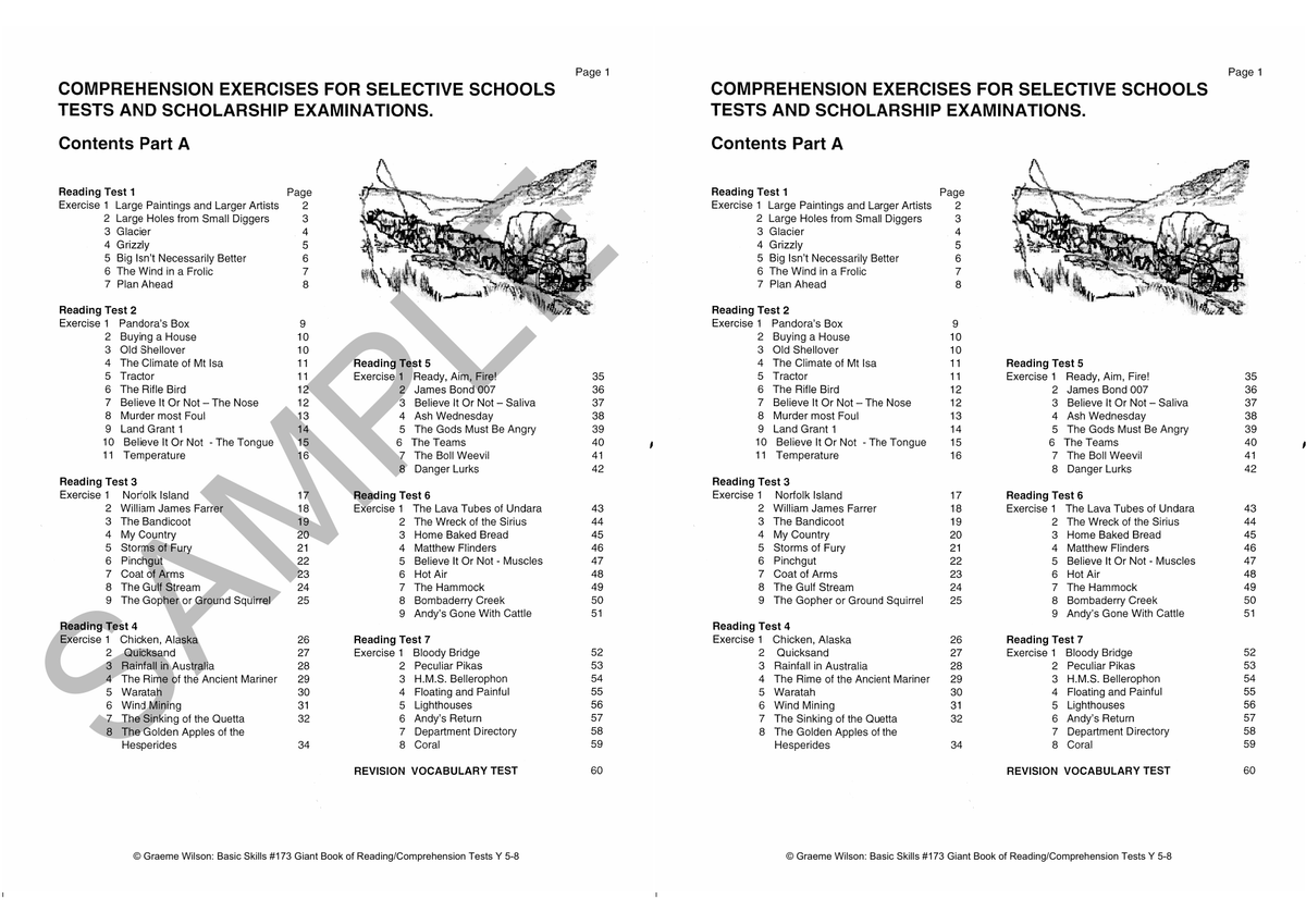 Basic Skills Giant Book of Reading / Comprehension Tests Years 5-8 (Basic Skills No. 173) sample page