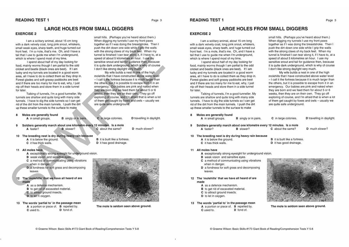 Basic Skills Giant Book of Reading / Comprehension Tests Years 5-8 (Basic Skills No. 173) sample page