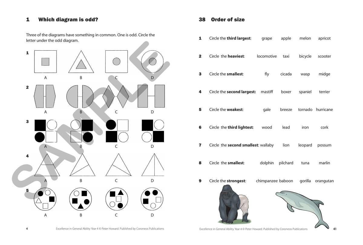 Excellence in General Ability Year 4 sample page