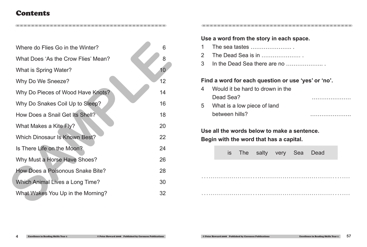 Excellence in Reading Skills Year 1 sample page