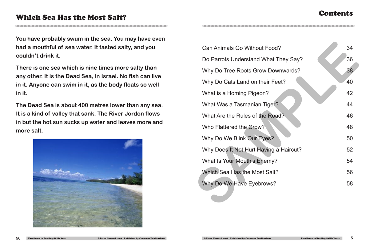 Excellence in Reading Skills Year 1 sample page