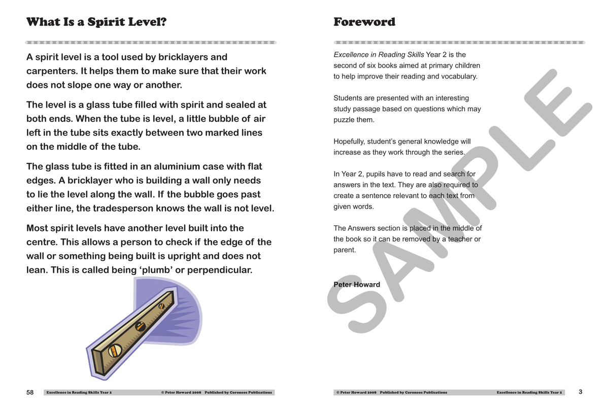 Excellence in Reading Skills Year 2 sample page