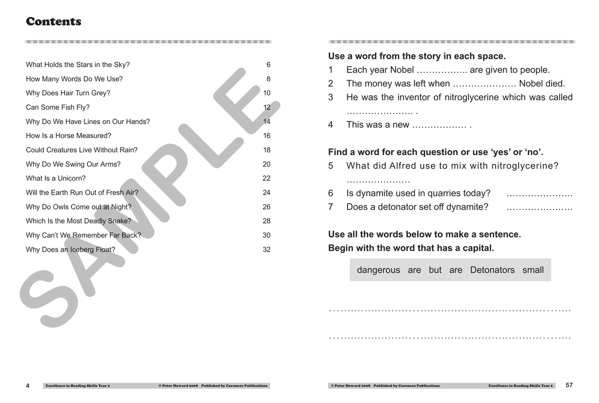 Excellence in Reading Skills Year 2 sample page