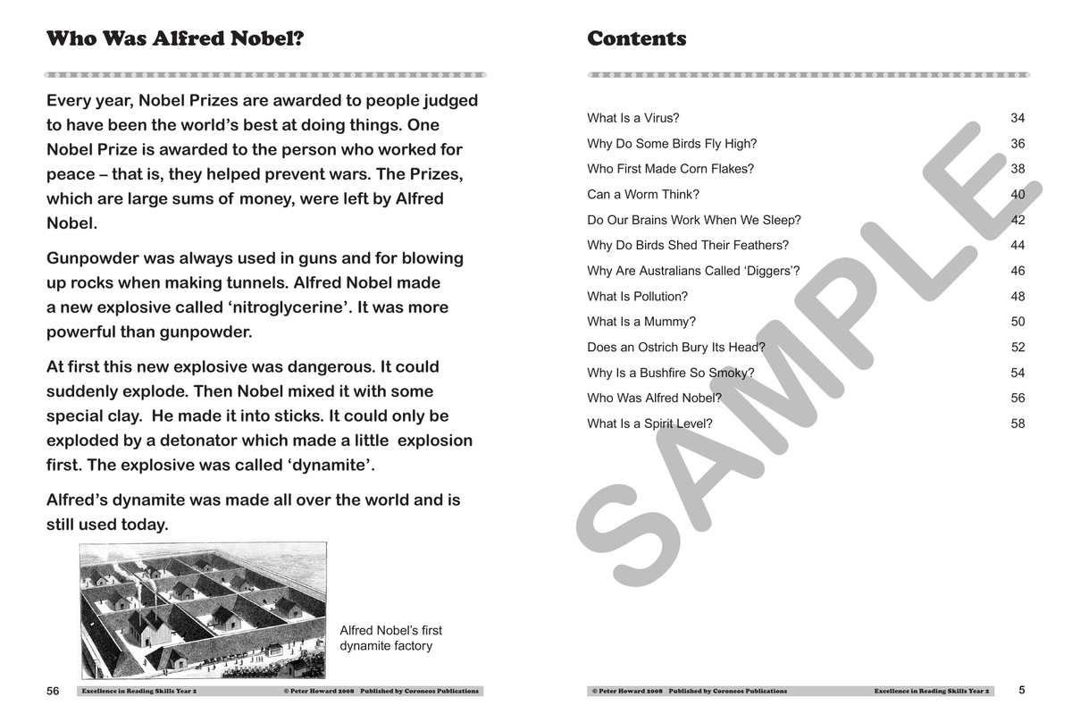 Excellence in Reading Skills Year 2 sample page