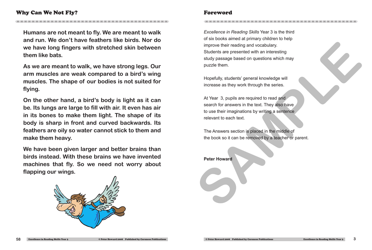 Excellence in Reading Skills Year 3 sample page