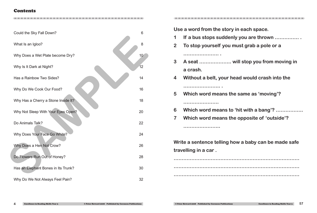Excellence in Reading Skills Year 3 sample page