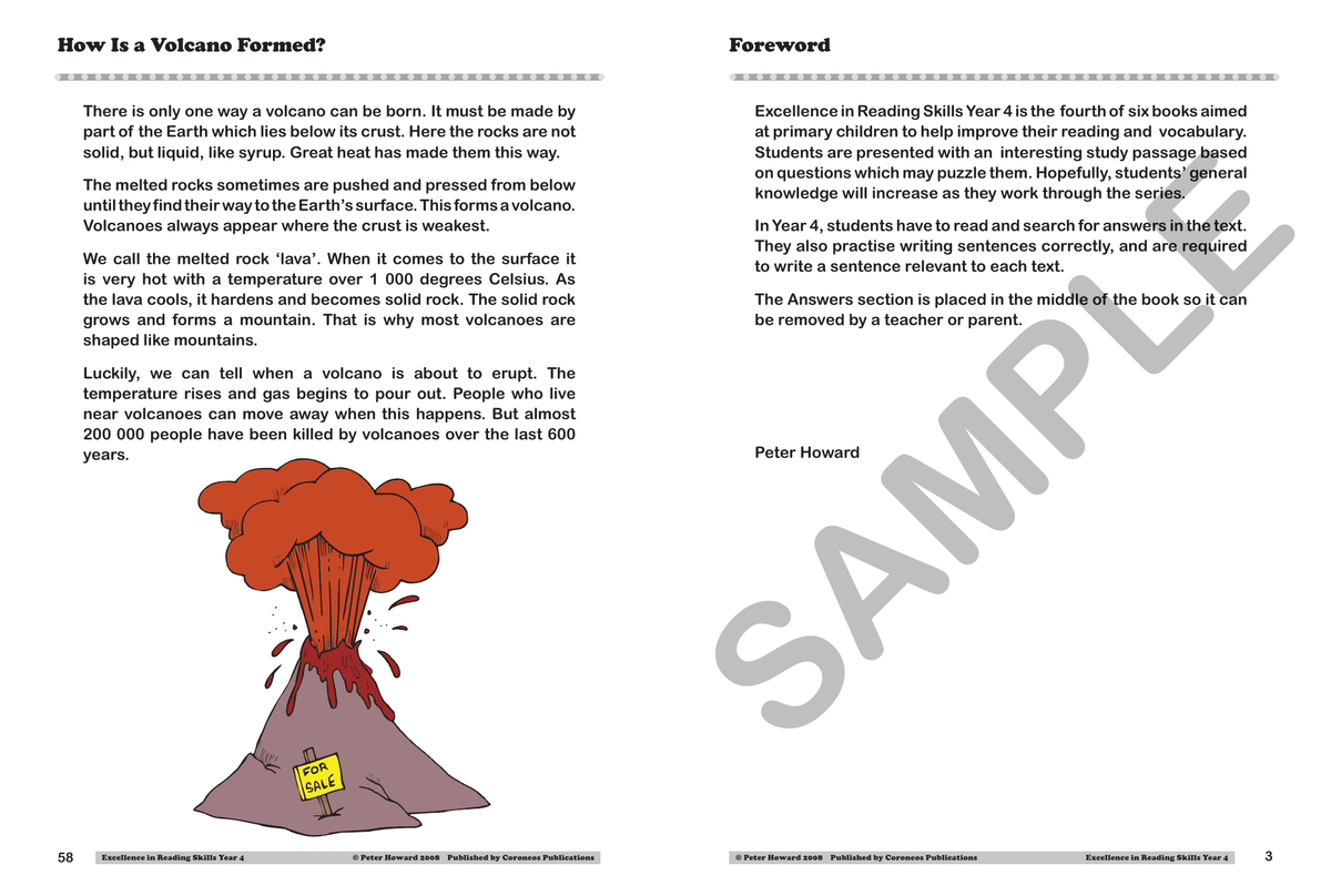 Excellence in Reading Skills Year 4 sample page