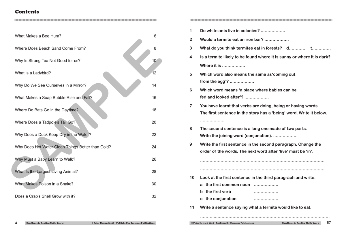 Excellence in Reading Skills Year 4 sample page