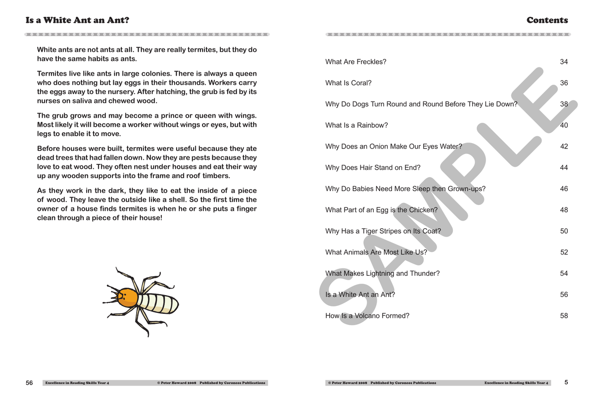 Excellence in Reading Skills Year 4 sample page