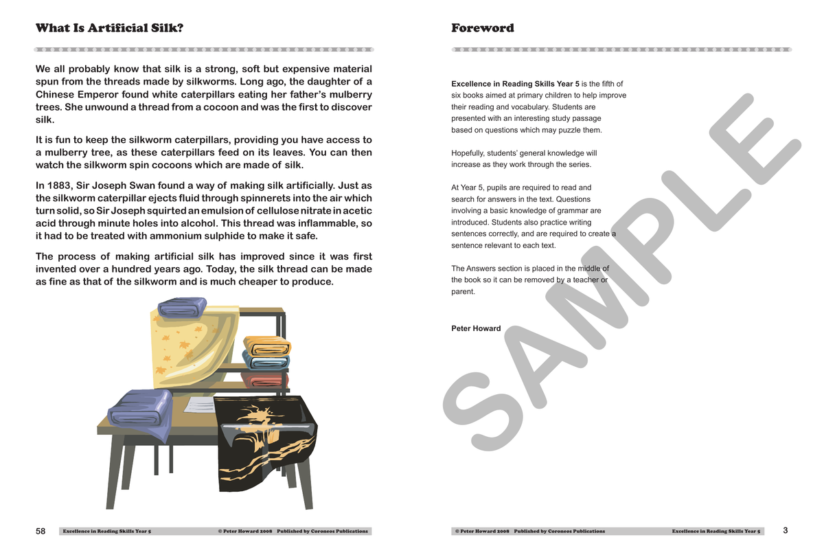 Excellence in Reading Skills Year 5 sample page