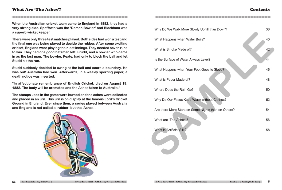 Excellence in Reading Skills Year 5 sample page