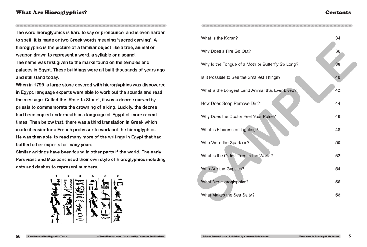 Excellence in Reading Skills Year 6 sample page