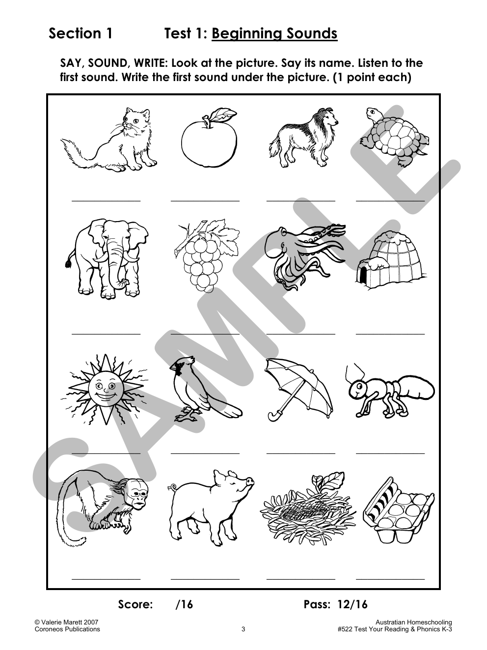 Test Your Reading and Phonics K to 3 sample page