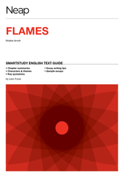 NEAP SmartStudy Text Guide - Flames