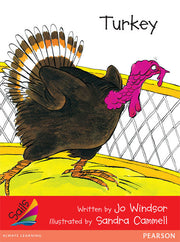 Sails - Early Level 1, Set 1 (Red): Turkey (Reading Level 4 / F&P Level C)