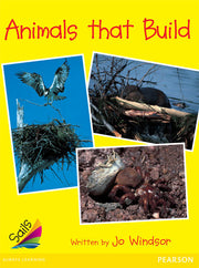 Sails - Early Level 2, Set 1 (Yellow): Animals that Build (Reading Level 13 / F&P Level H)