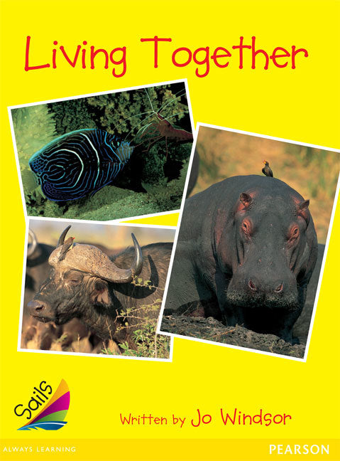 Sails - Early Level 2, Set 1 (Yellow): Living Together (Reading Level 13 / F&P Level H)