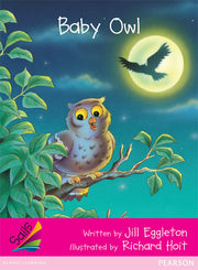 Sails - Emergent Level (Magenta): Baby Owl (Reading Level 3 / F&P Level C)