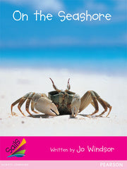 Sails - Emergent Level (Magenta): On the Seashore (Reading Level 2 / F&P Level B)