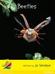 Sails - Early Level 2, Set 2 (Yellow): Beetles (Reading Level 7 / F&P Level E)