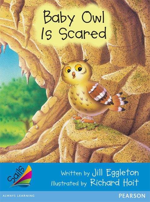 Sails - Early Level 3, Set 2 (Blue): Baby Owl is Scared (Reading Level 11-12 / F&P Level G)