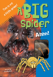 Sailing Solo - Blue Level: A Big Spider (Reading Level 9 / F&P Level F)