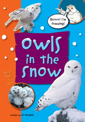 Sailing Solo - Green Level: Owls in the Snow (Reading Level 14 / F&P Level H)