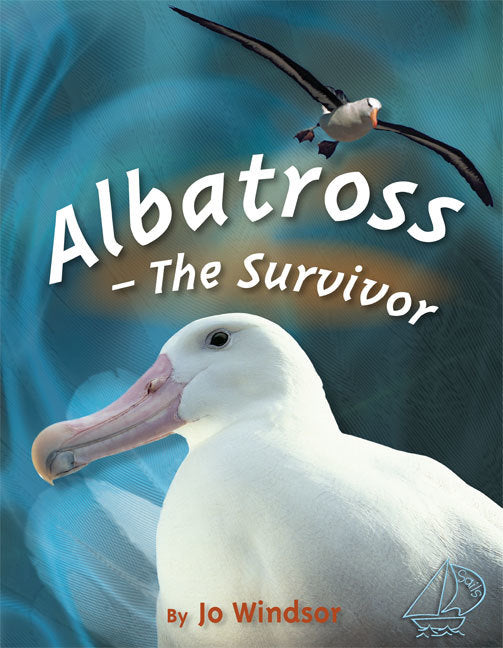 MainSails - Level 3: Albatross - The Survivor (Reading Level 28 / F&P Level S)