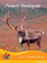 Sails - Additional Fluency (Orange):Animal Headgear (Reading Level 15 / F&P Level I)