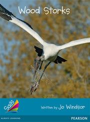 Sails - Additional Fluency (Turquoise): Wood Storks (Reading Level 18 / F&P Level J)