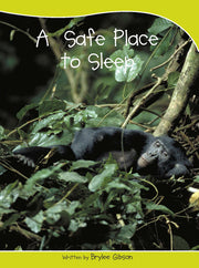 Sails - Take-Home Library (Set A): A Safe Place to Sleep (Reading Level 7 / F&P Level E)