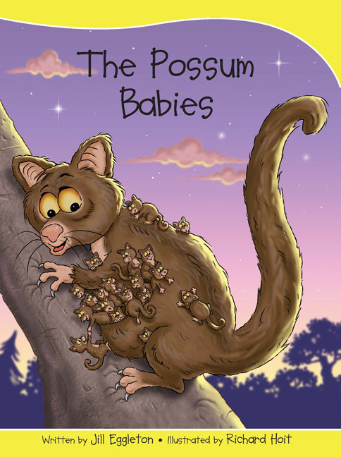 Sails - Take-Home Library (Set B): The Possum Babies (Reading Level 12 / F&P Level G)
