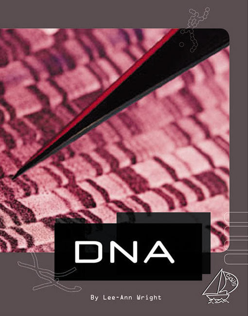 MainSails - Level 5: DNA
