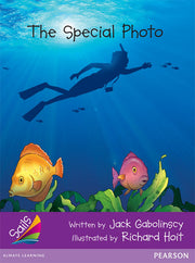 Sails - Additional Fluency (Purple): The Special Photo (Reading Level 22 / F&P Level M)