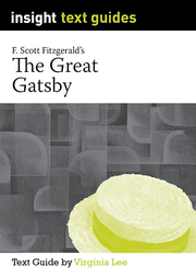 Insight Text Guides: The Great Gatsby